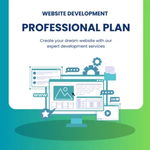 Website Development Professional Plan